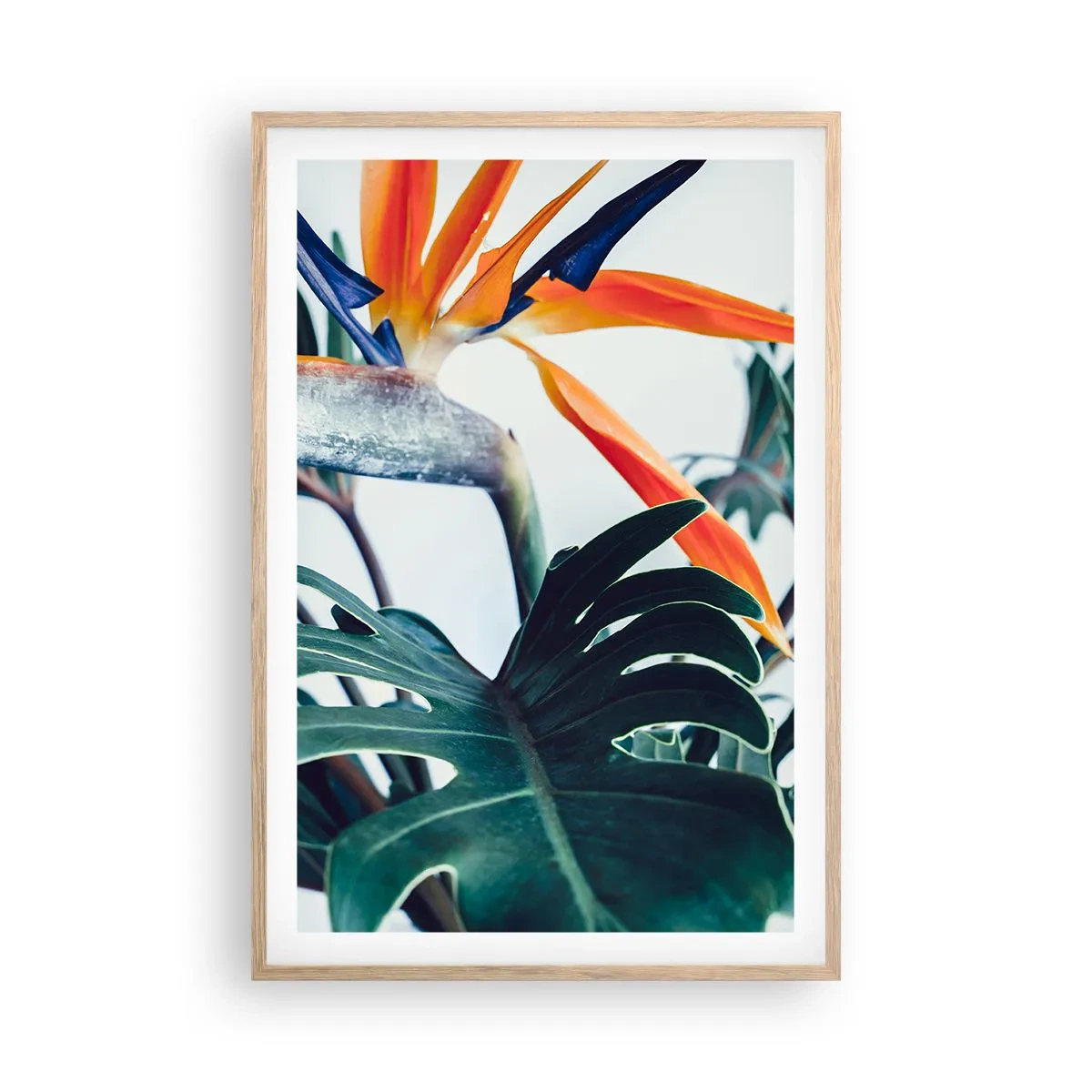 Poszter világos tölgy keretben - Madárkalitka - 61x91 cm