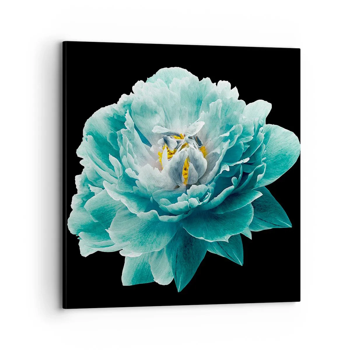 Vászonkép - Kék és arany szirmok - 70x70 cm