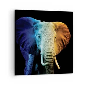 Vászonkép - Excentrikus, nem különc - 60x60 cm