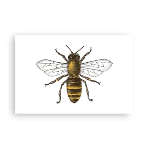 Poszter - Gyönyörű és jó - 91x61 cm