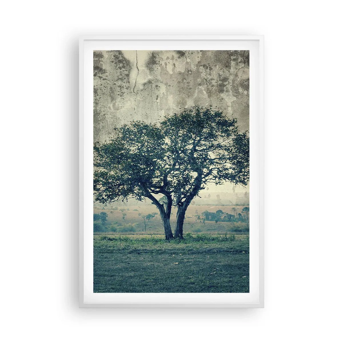 Poszter fekete keretben - Almafa a kék mezőn? - 61x91 cm