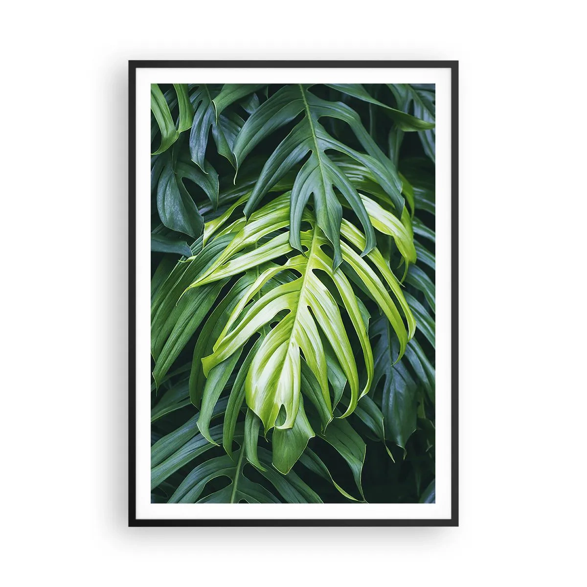 Poszter fehér keretben - Merüljön el a frissességben - 70x100 cm