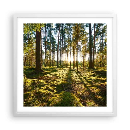 Poszter fekete keretben - … A hét erdőn túl - 50x50 cm