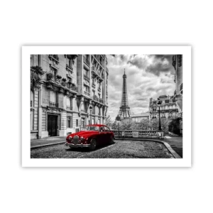 Poszter - Ragadozó a városban - 70x50 cm