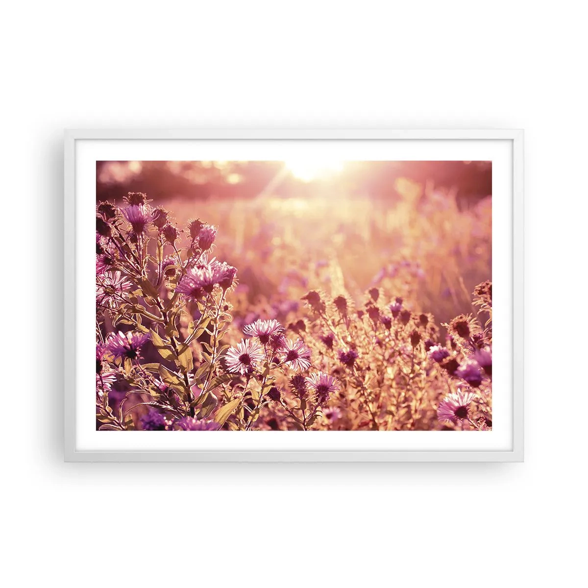 Poszter fekete keretben - A nyár elmúlás előtt - 70x50 cm