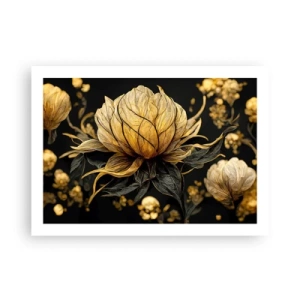 Poszter - Finom törékenység - 70x50 cm