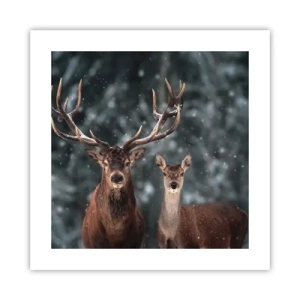 Poszter - Az erdő ura a feleségével - 40x40 cm