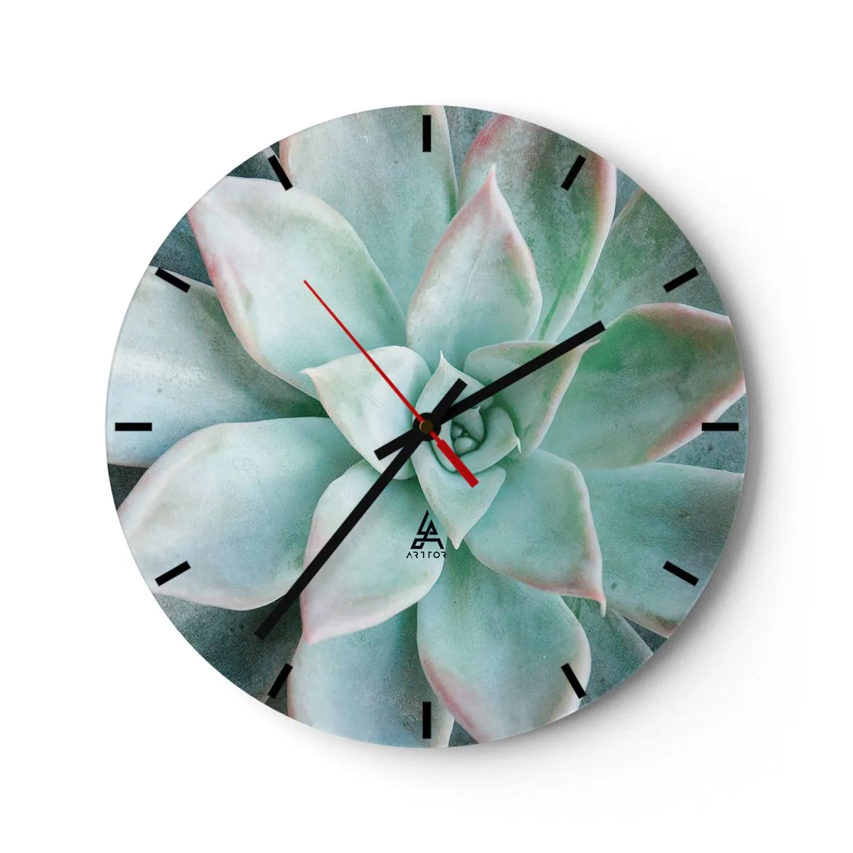 Falióra, Óra - Makrófotózás egy zöld pozsgás növényről rózsaszín díszítéssel - 30x30cm - A sivatag szíve - Modern fali dekoráció nappalihoz, konyhához és hálószobához ARTTOR
