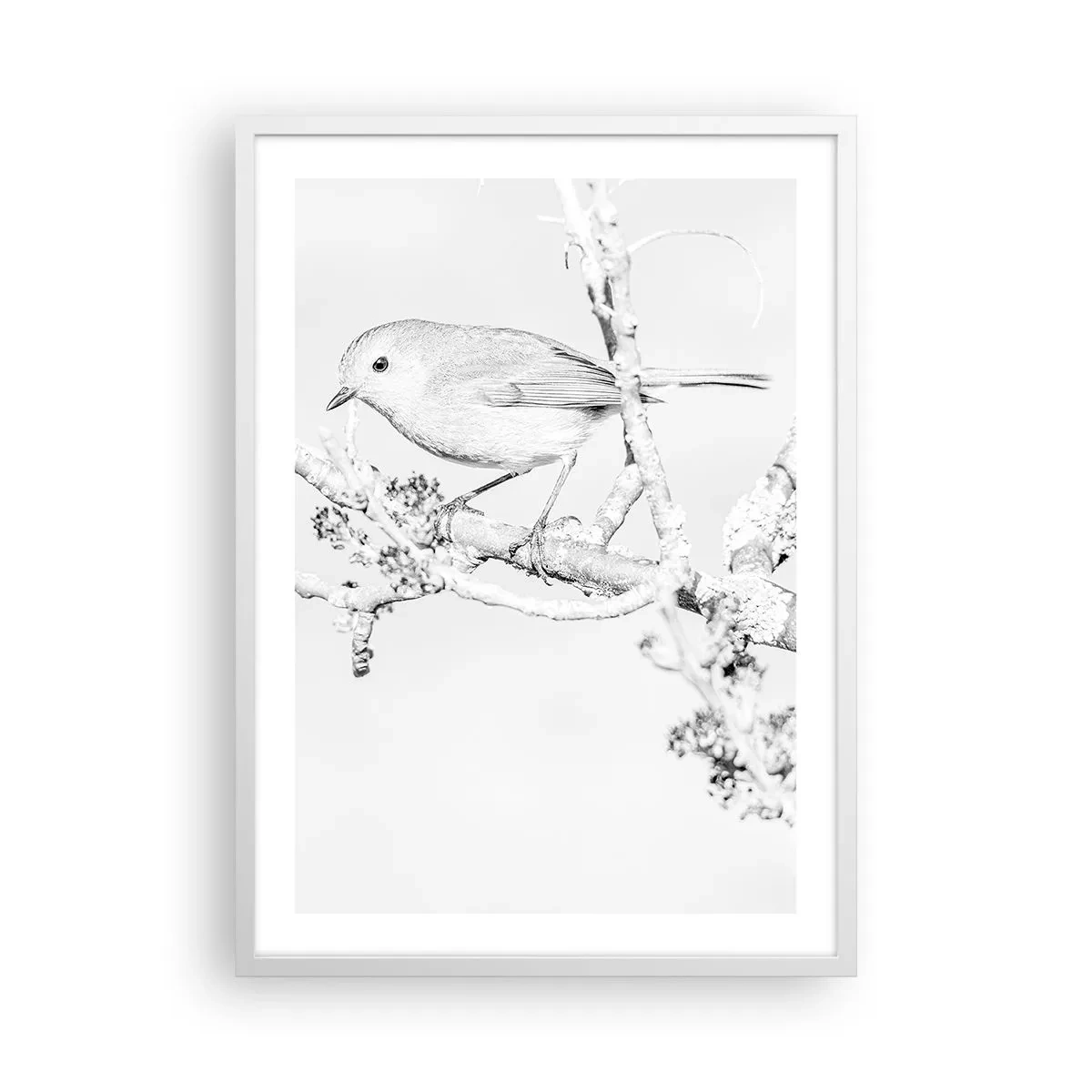 Poszter fekete keretben - Téli reggel - 50x70 cm