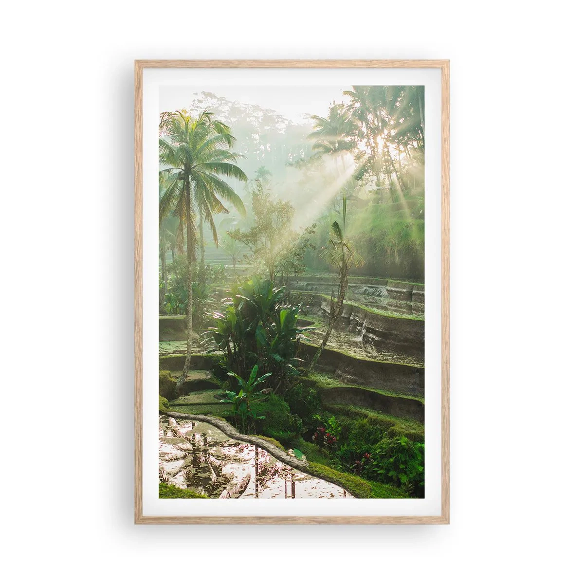 Poszter világos tölgy keretben - Felnőni a napon - 61x91 cm
