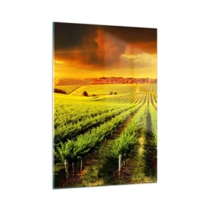 Üveg kép - Ausztrál nap alatt - 50x70 cm