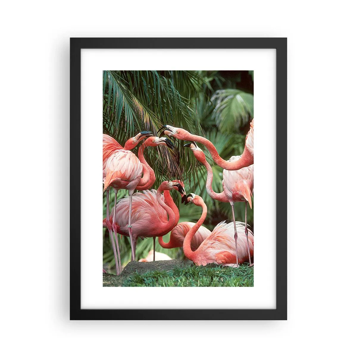 Poszter fehér keretben - Délutáni pletyka - 30x40 cm