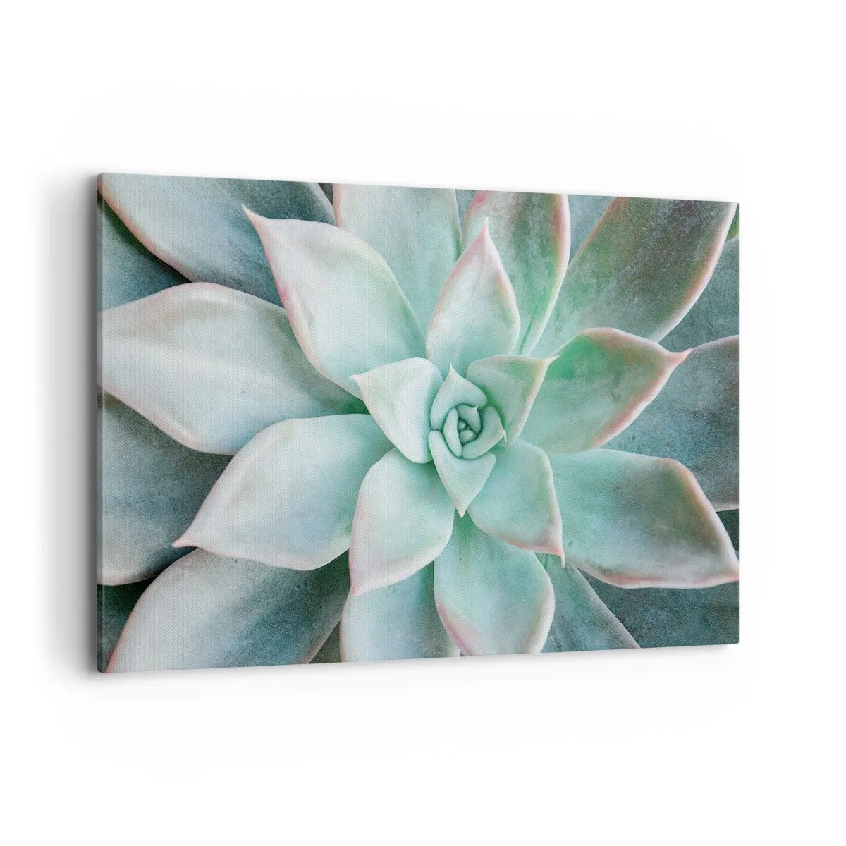 Vászonkép - A sivatag szíve - 120x80 cm