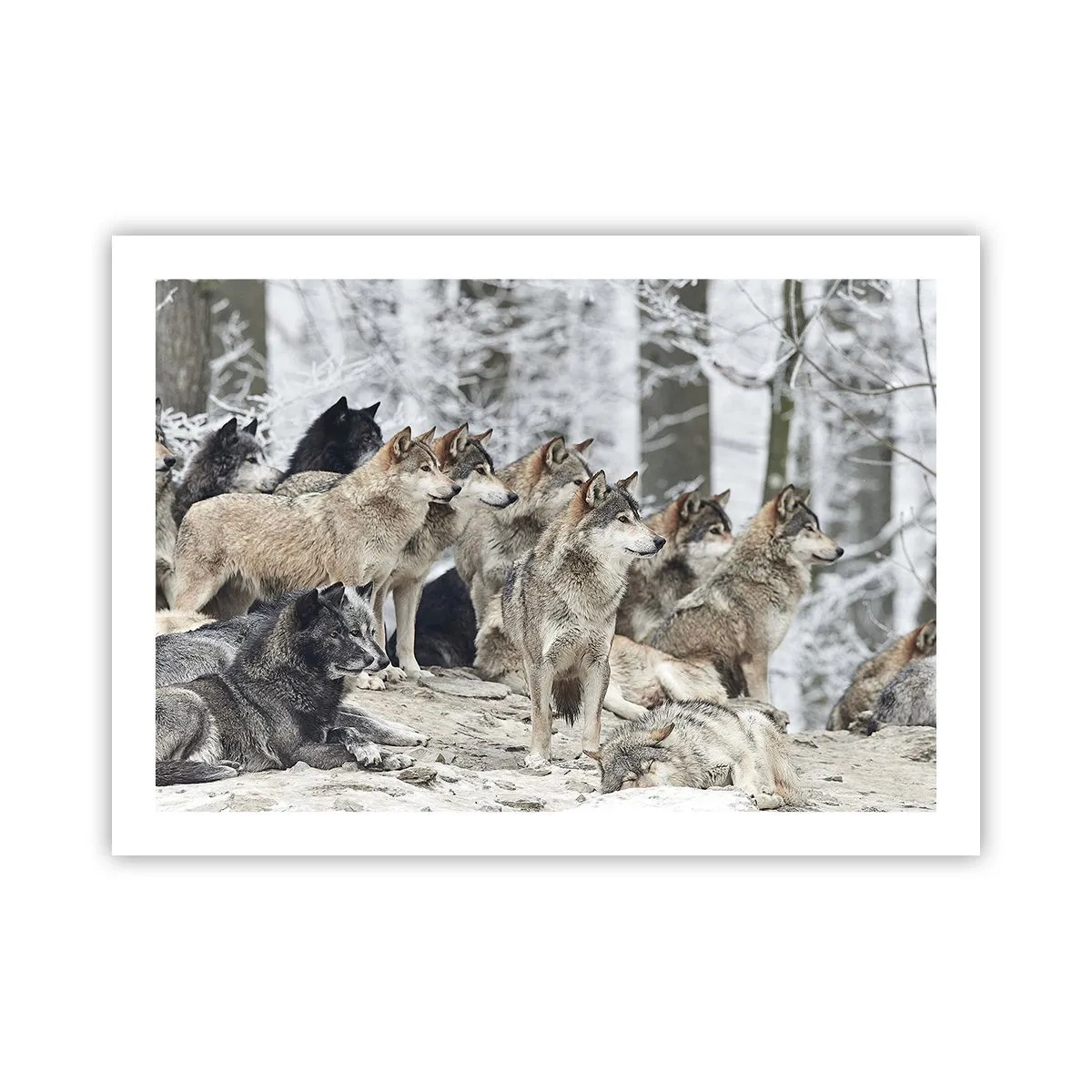 Poszter - Család és barátok - 70x50 cm