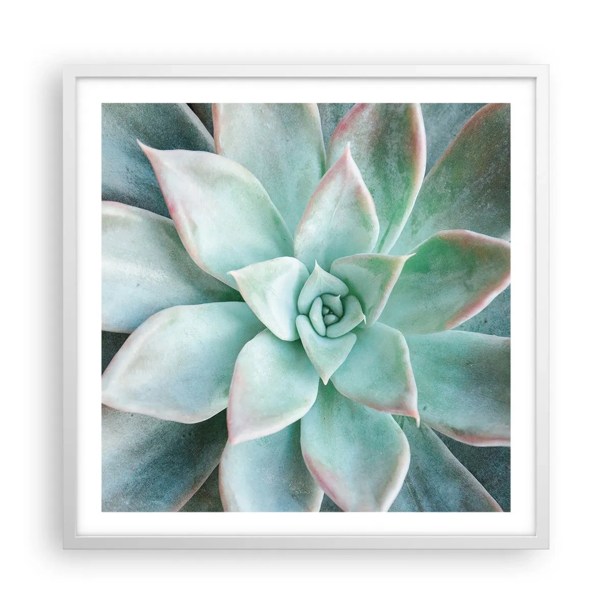 Poszter fekete keretben - A sivatag szíve - 60x60 cm