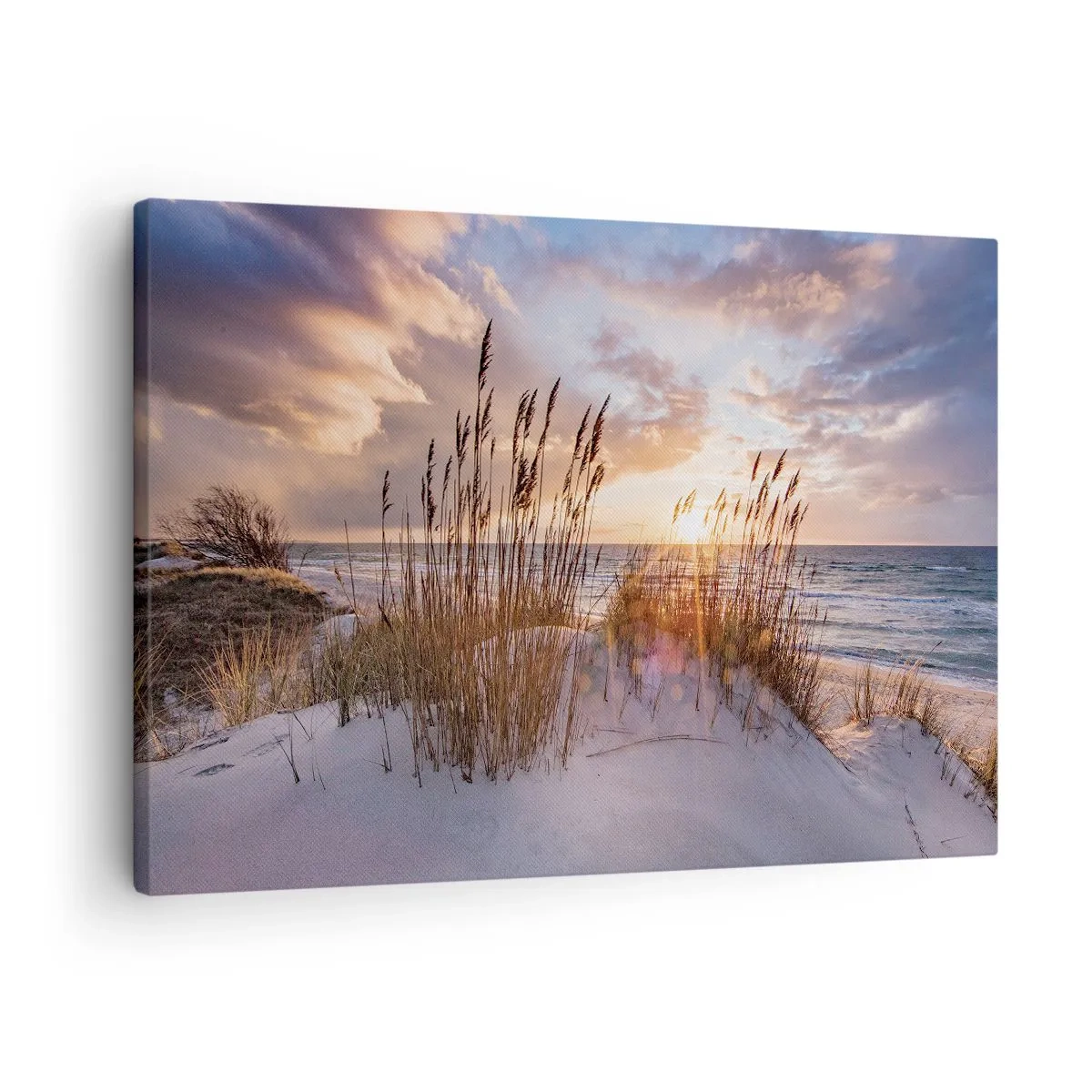 Vászonkép - Dűnék füves területekkel a lenyugvó nap hátterében - 70x50cm - Búcsú a naptól és a széltől - Modern fali dekoráció nappalihoz és hálószobához ARTTOR