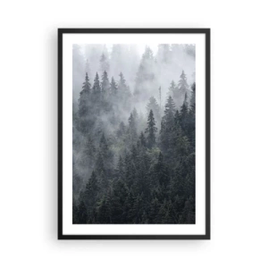 Poszter fehér keretben - Ködös erdő magas tűlevelű fákkal - 50x70cm - Erdei hajnal - Modern fali dekoráció nappalihoz és hálószobához ARTTOR