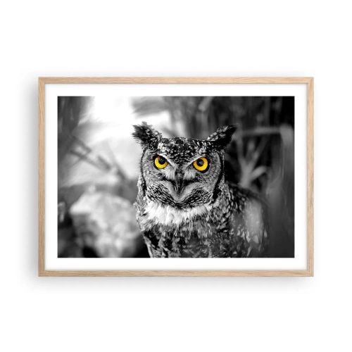 Poszter világos tölgy keretben - Semmi sem fog elbújni - 70x50 cm