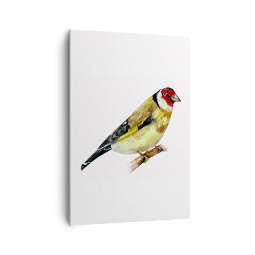 Vászonkép - Madárportré - 70x100 cm