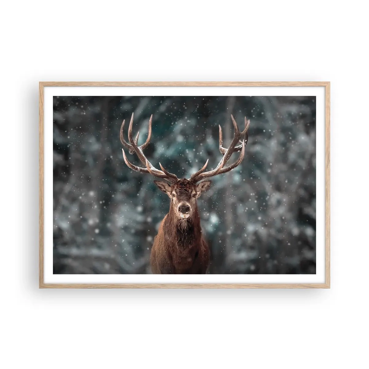 Poszter világos tölgy keretben - Az erdő királya koronázva - 100x70 cm