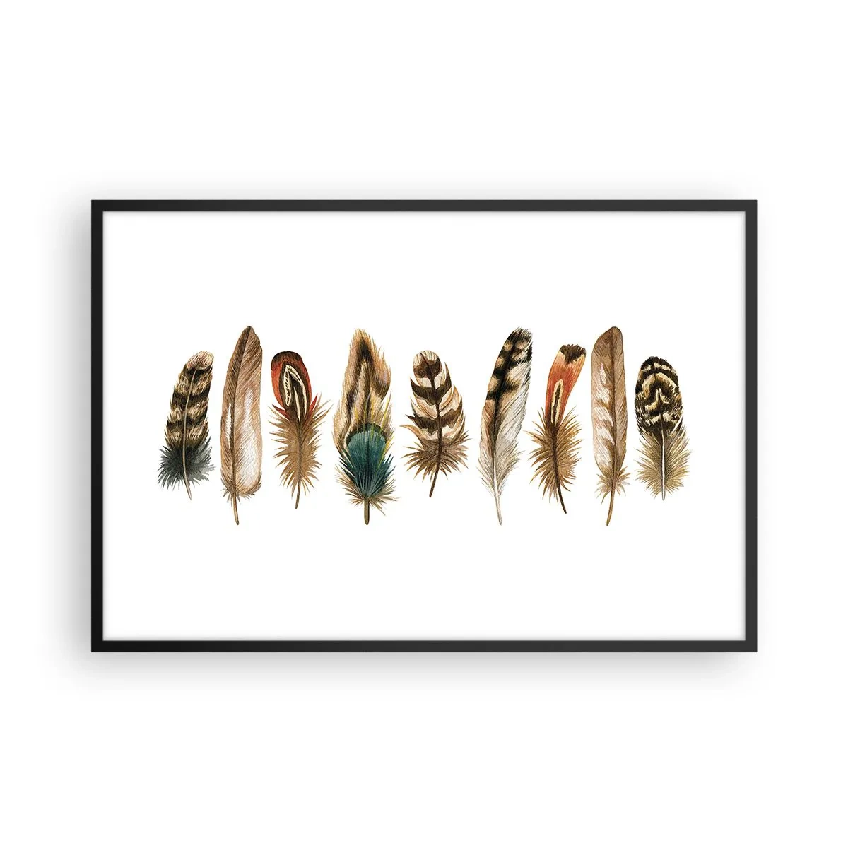 Poszter fehér keretben - Tollas variáció - 91x61 cm