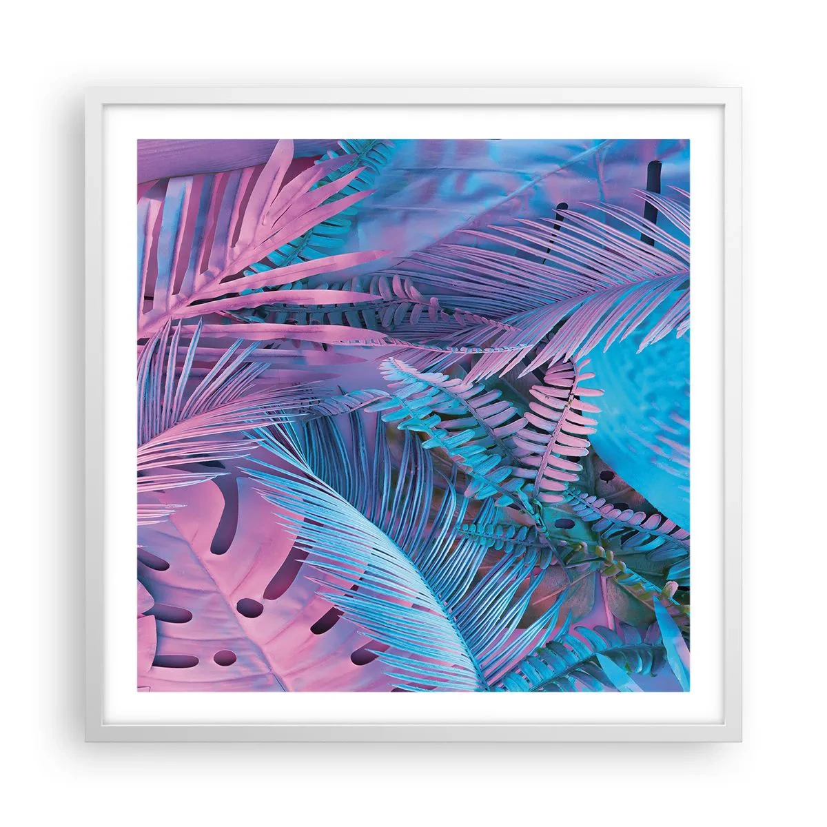 Poszter fekete keretben - Trópusok rózsaszínben és kékben - 60x60 cm