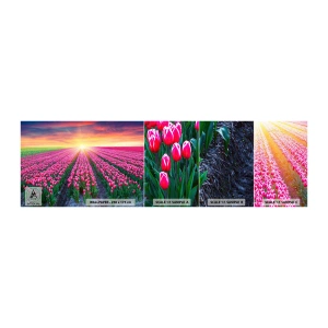 Fotótapéta Minta Öntapadós Deluxe Sticker - Gyönyör farm - Virágok, Tulipánok, Napnyugta - 100x30 cm
