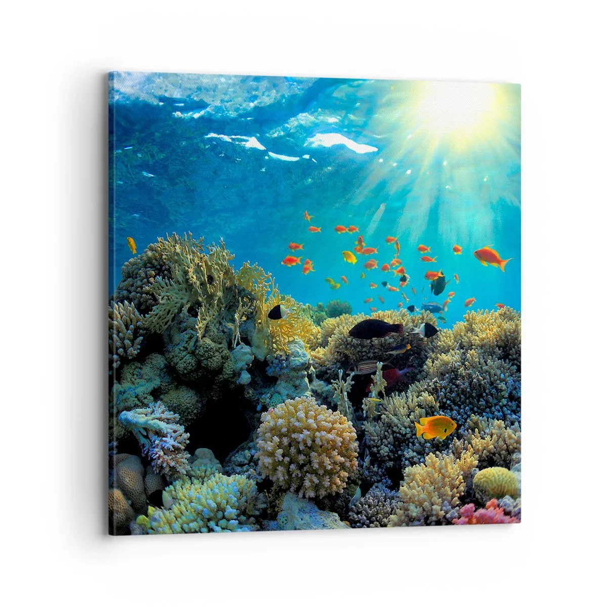 Vászonkép - Víz alatti kincsek - 70x70 cm