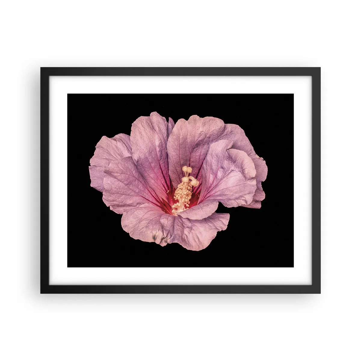 Poszter fehér keretben - Egyenesen a szív felé - 50x40 cm