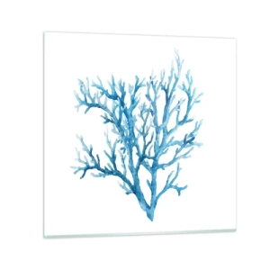 Üveg kép - Tengeri filigrán - 60x60 cm