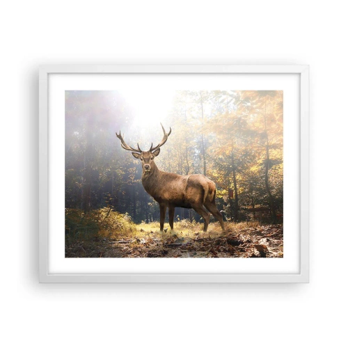 Poszter fekete keretben - Teljes fenségben - 50x40 cm