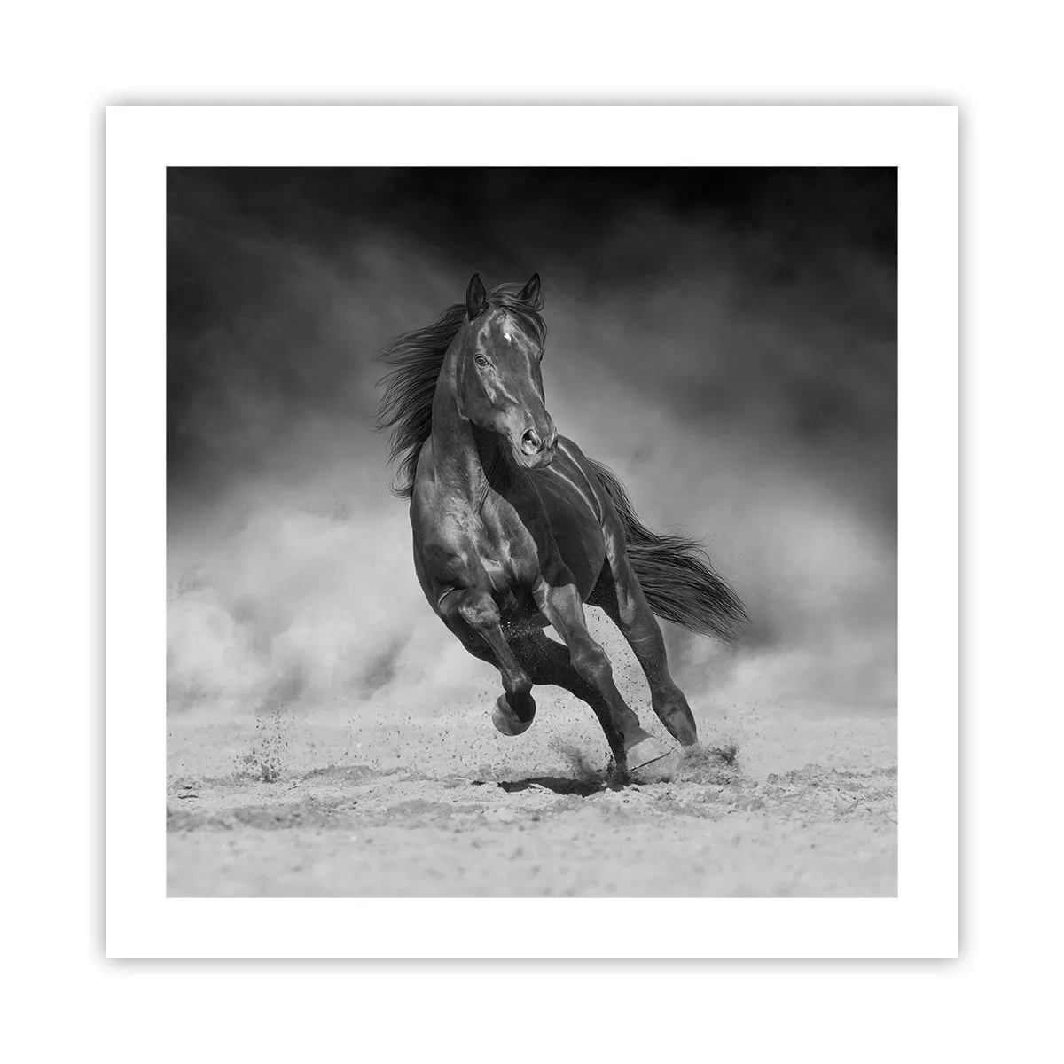 Poszter - Az emírhez méltó - 50x50 cm