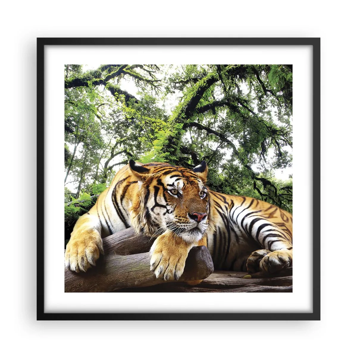 Poszter fehér keretben - Tisztelettel - 50x50 cm