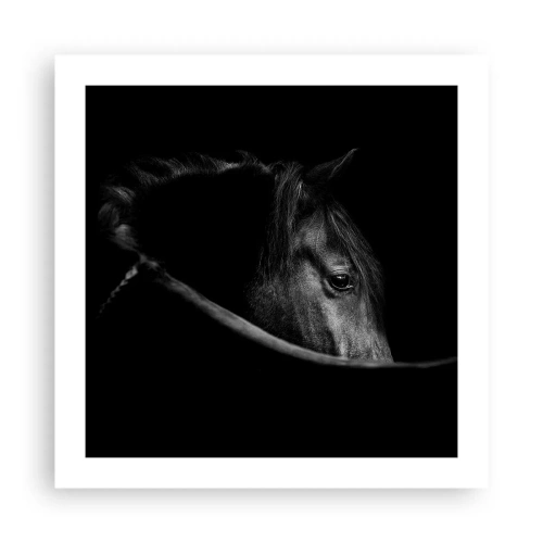 Poszter - Fekete herceg - 50x50 cm