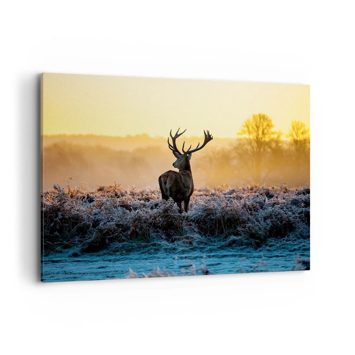 Vászonkép - Megkoronázott a birtokán - 100x70 cm