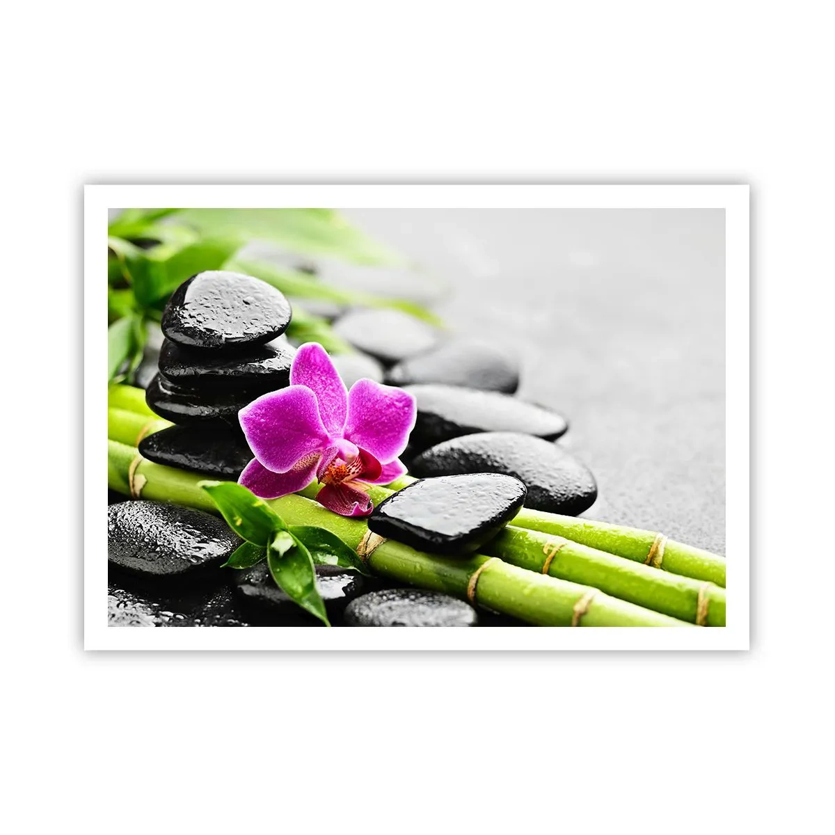 Poszter - Nyugodt egyensúlyban - 100x70 cm