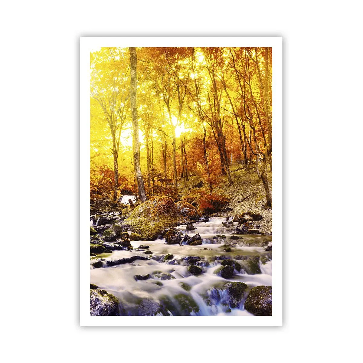 Poszter - Kövek aranyba és platinába - 70x100 cm