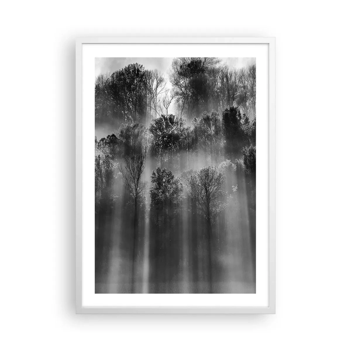 Poszter fekete keretben - Fénypatakokban - 50x70 cm