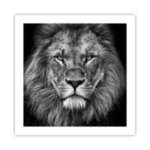 Poszter - Őfelségi palástban - 50x50 cm