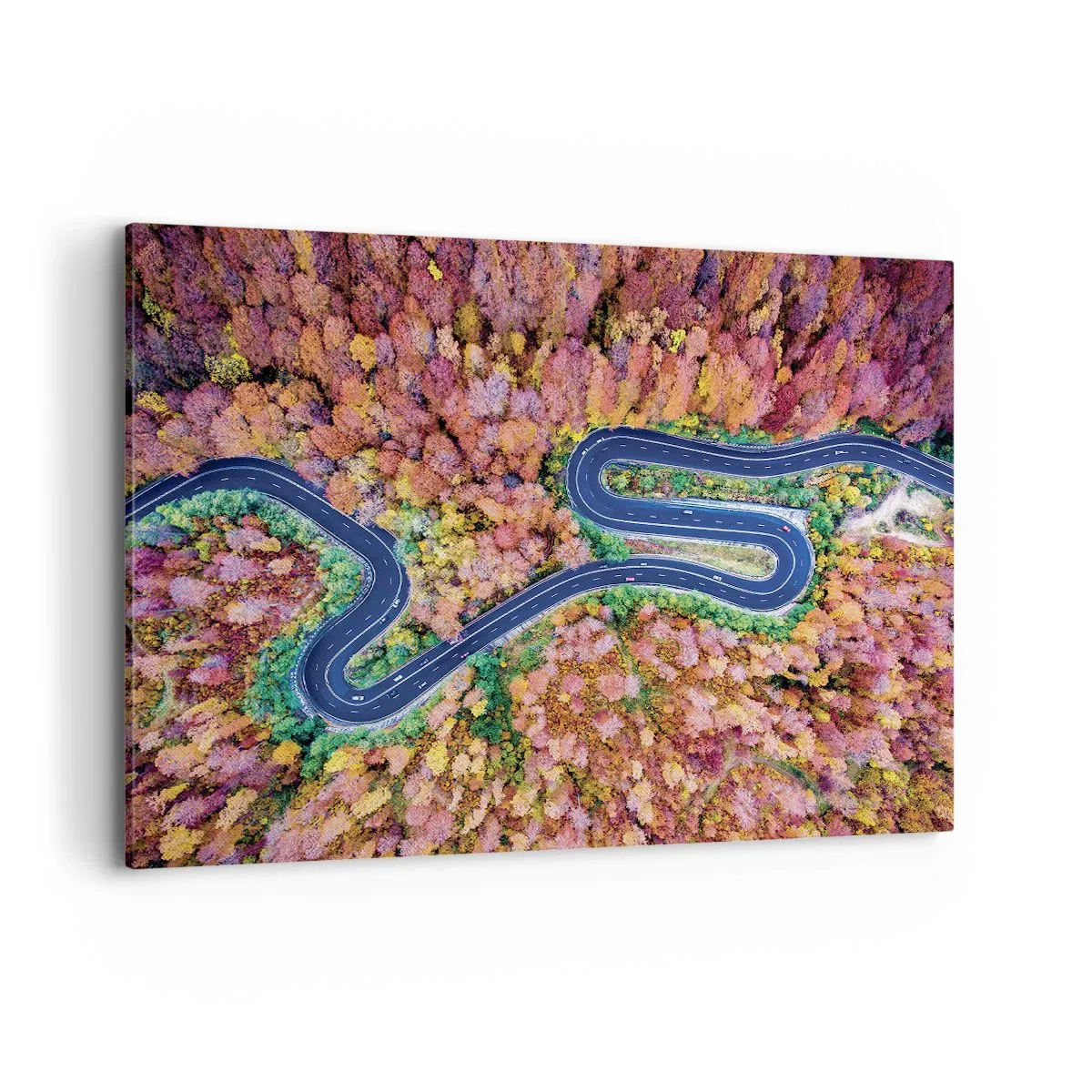 Vászonkép - Kanyargós út az erdőn keresztül - 100x70 cm