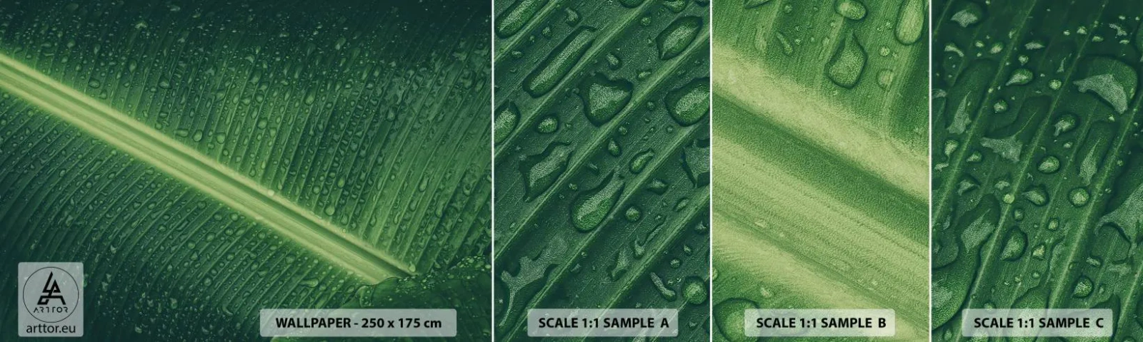Fotótapéta Minta Standard Eco - A növényzet szerkezete - Zöld levél, Trópusi növény, Darab - 100x30 cm