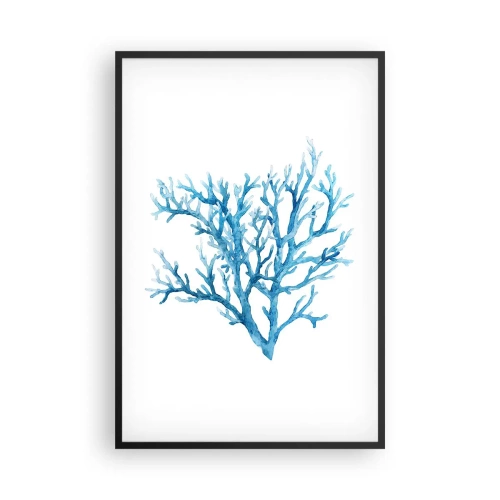 Poszter fehér keretben - Tengeri filigrán - 61x91 cm