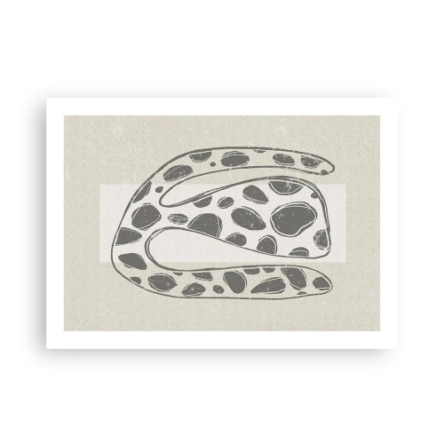 Poszter - Egy bizarr teremtmény - 70x50 cm