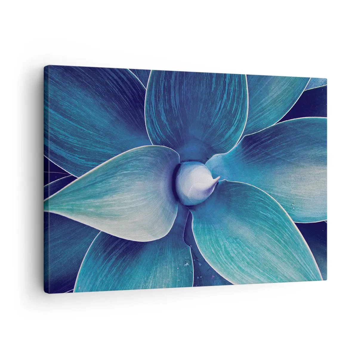 Vászonkép - Közeli kép egy absztrakt virágról kék árnyalatokban - 70x50cm - Kékezve az égből - Modern fali dekoráció nappalihoz és hálószobához ARTTOR