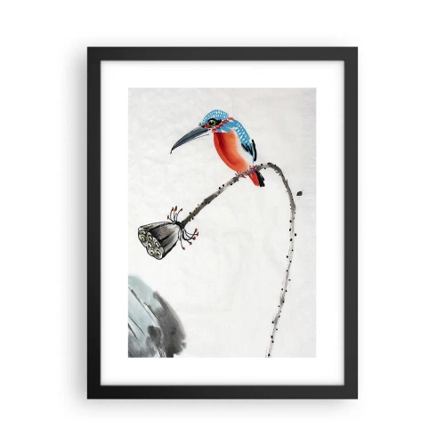 Poszter fehér keretben - A rét élete - 30x40 cm