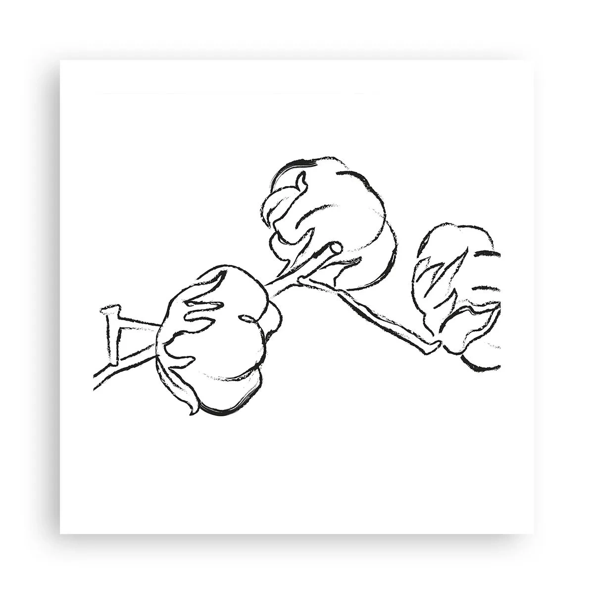 Poszter - Pamut pehely - 50x50 cm