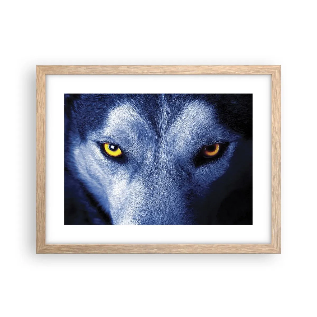 Poszter világos tölgy keretben - Hipnotizáló nézés - 40x30 cm