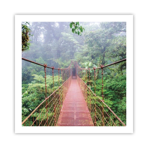 Poszter - A lomkoronák fölé függesztve - 60x60 cm