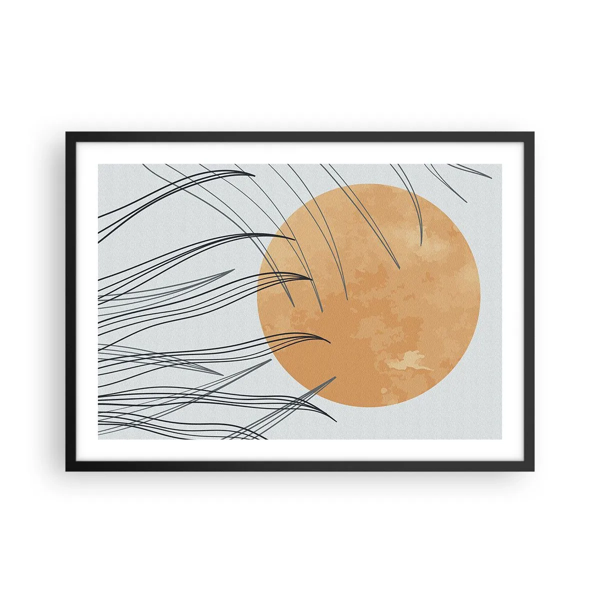 Poszter fehér keretben - Mindig a nap felé - 70x50 cm