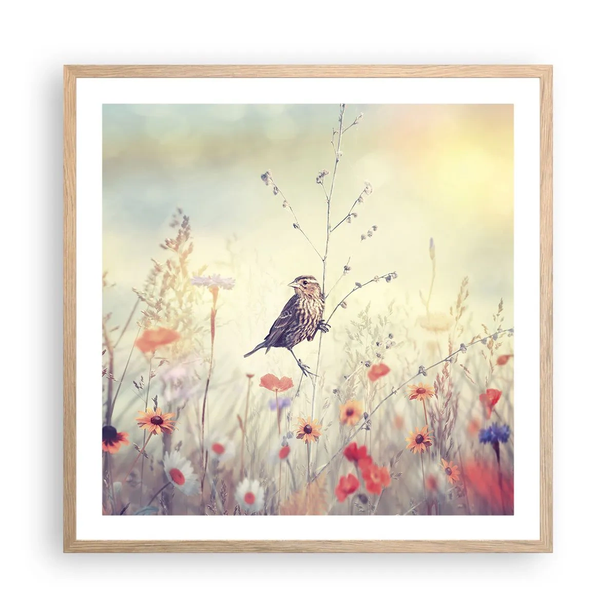 Poszter világos tölgy keretben - Madárportré egy réttel a háttérben - 60x60 cm
